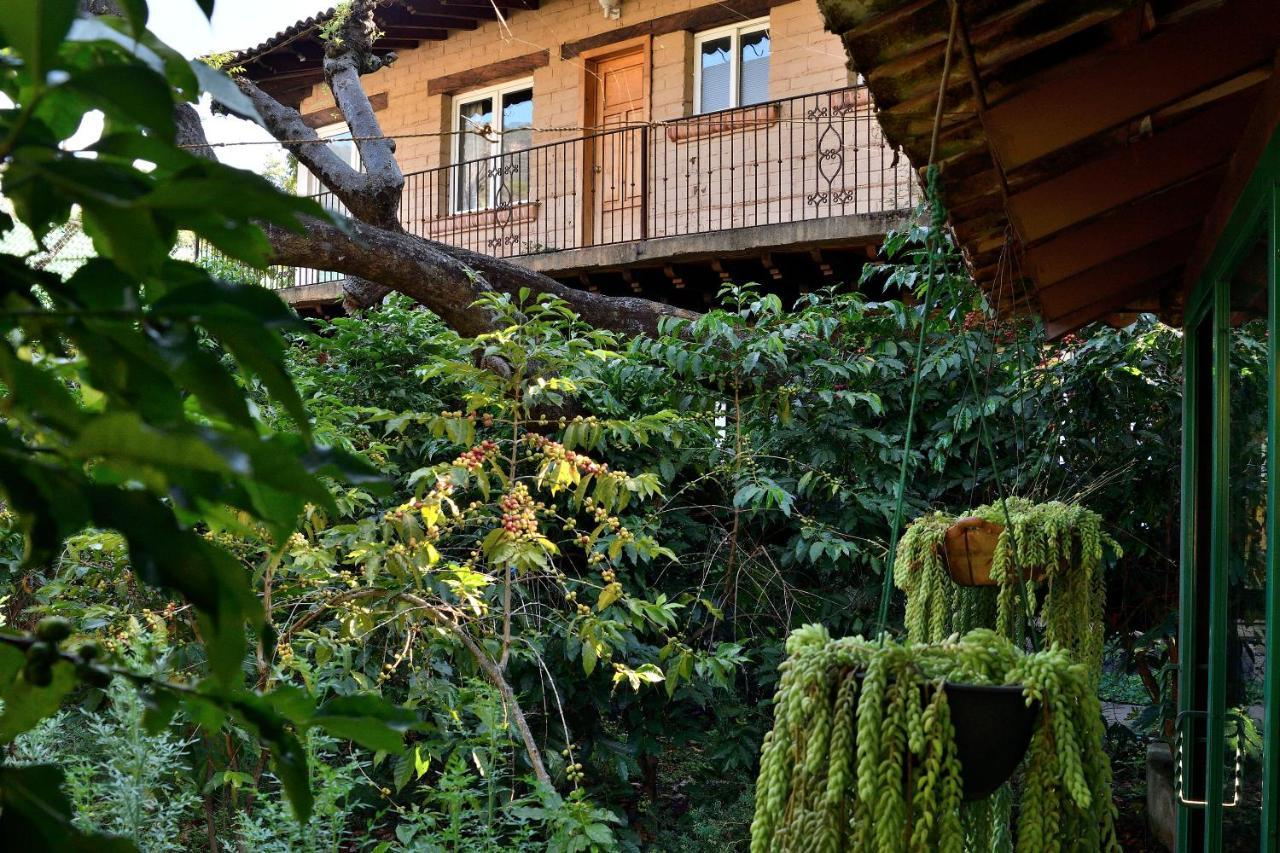 Quinta Cielo - Hotel Boutique Y Restaurante Malinalco Luaran gambar