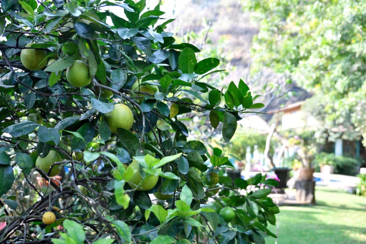 Quinta Cielo - Hotel Boutique Y Restaurante Malinalco Luaran gambar